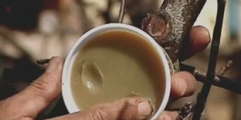 Vrt var: sastav, što je, upute za upotrebu, kako zamijeniti, recenzije