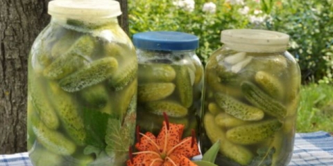 Salata od krastavca sa senfom bez sterilizacije: ukusni recepti za zimu