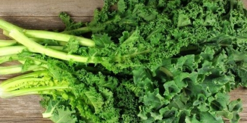 Salata od kelja: korisna svojstva i kontraindikacije