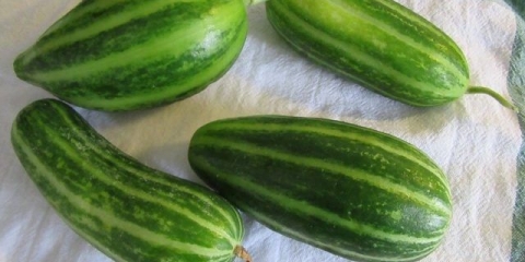 Salate od krastavca u soku od paradajza: sjajni recepti za zimnicu