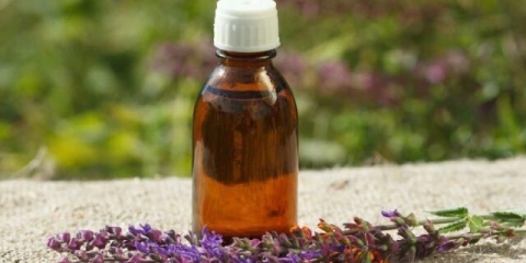 Mjesečina i votka na timijanu: recepti za kuhanje, koristi i štete, recenzije