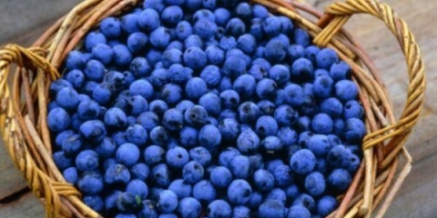 Mjesečina od trna (trna) kod kuće: recepti za kuhanje