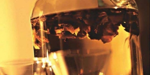 Moonshine na chagi: recepti za kuhanje, pravila primjene, recenzije