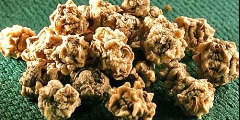 Sjeme cvekle: najbolje sorte za otvoreno tlo