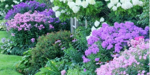 Sheme cvjetnih gredica od trajnica s opisom cvijeća