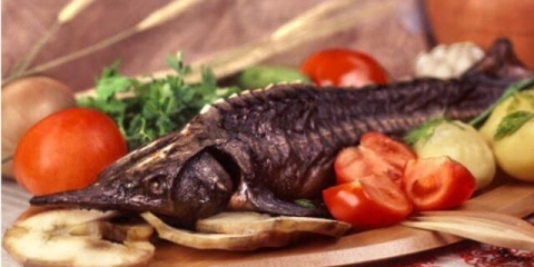 Štuka vruća, hladno dimljena kod kuće: recepti sa fotografijama, video zapisi