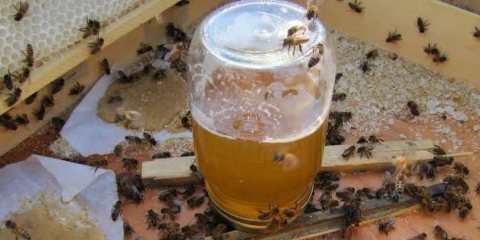 Sirup za pčele za zimu: proporcije i pravila kuhanja