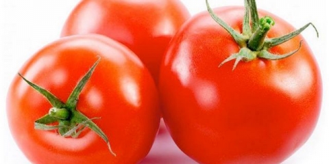 Soda za sadnice paradajza