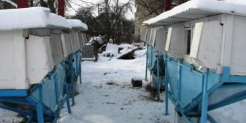 Držanje zečeva na otvorenom zimi