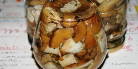 Slani redovi: recepti za kuvanje kod kuće