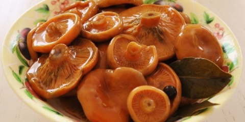 Slane gljive: jednostavni recepti za zimu