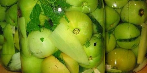 Slani zeleni paradajz za zimu na hladan način