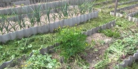 Korov: fotografija i naziv