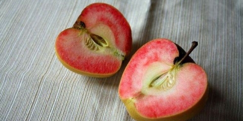 Sorta jabuke roze biser