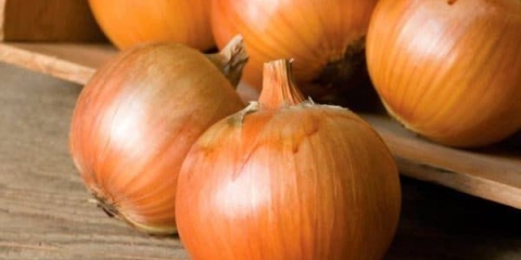 Sorta luka elan: karakteristike uzgoja