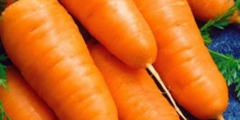 Sorta šargarepe shantane: opis, fotografije i recenzije