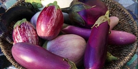 Sorte patlidžana za otvoreno tlo