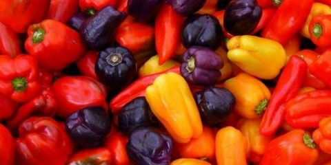 Sorte duge i tanke paprike