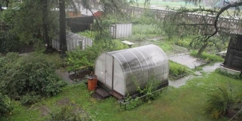 Sorte dugih krastavaca za staklenik