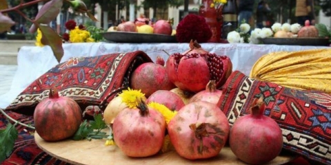 Sorte nara sa fotografijama i opisima