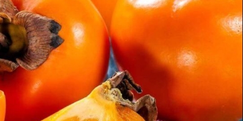 Sorte dragulja sa fotografijama i nazivima: samooplodne, otporne na mraz, rani, najbolji