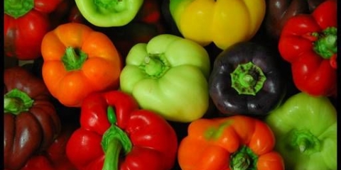 Sorte i hibridi paprike