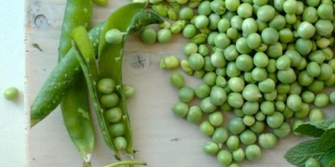 Sorte i vrste graška: šta su, fotografije i imena