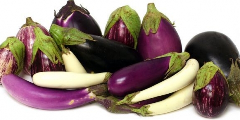 Sorte karpalnog patlidžana