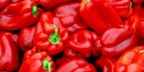 Sorte crvene slatke duge paprike