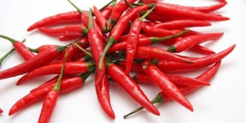 Sorte crvene ljute paprike