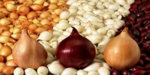 Sorte luka za zimsku sadnju