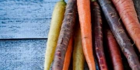 Sorte šargarepe za zimnicu