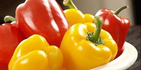 Sorte paprike za otvoreno tlo