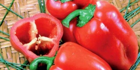 Sorte slatke paprike debelih stijenki