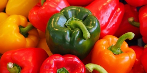 Sorte najranijih paprika