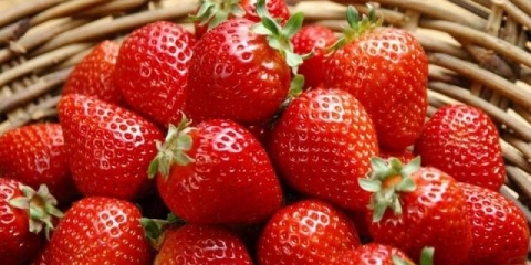 Sorte slatkih jagoda: recenzije