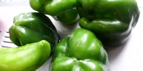 Sorte zelene slatke paprike