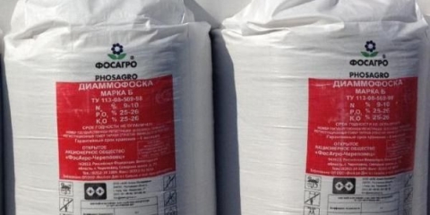 Sastav i primjena đubriva diammofoska u bašti