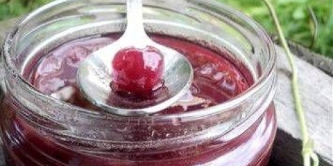 Tkemali sos od ogrozda