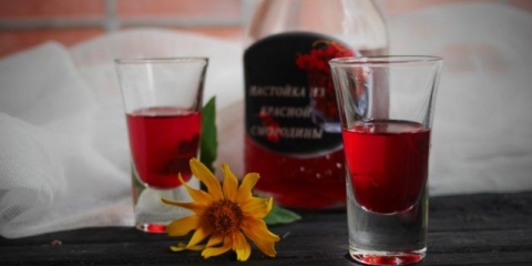 Alkohol, mjesečina i votka od ribizle kod kuće: recepti