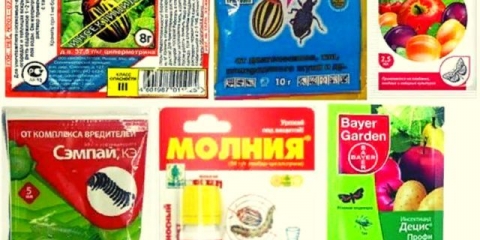 Kinmiks kontrola štetočina: upute za upotrebu, kada obraditi, analozi, recenzije