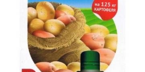 Lijek za tabu koloradske bube