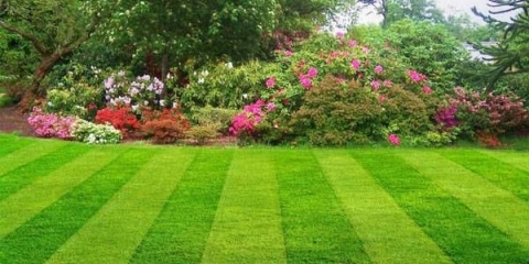 Sredstvo za ubijanje trave