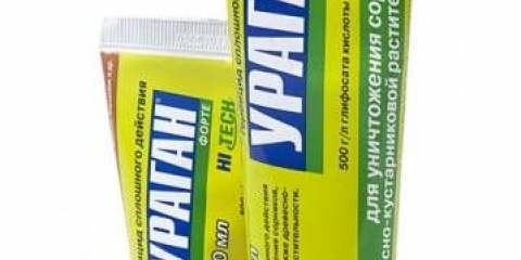 Ubica korova - uragan