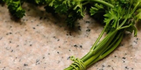 Stabljike peršuna: da li se jedu, recepti, šta se može, koliko je korisno