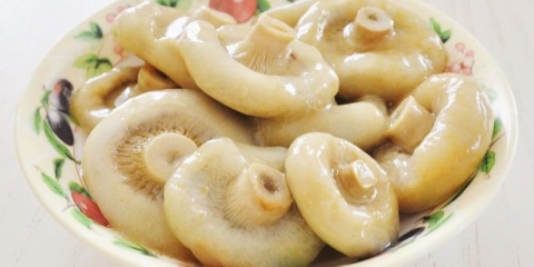 Suhe mliječne pečurke (bijele gljive): recepti za kuhanje prvih i drugih jela