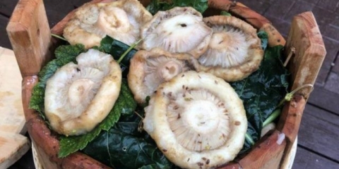 Suho soljenje gljiva: recepti za kiseljenje hrskavih gljiva kod kuće