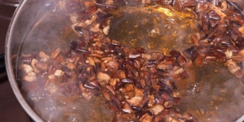 Juha od kišobrana od gljiva: recepti za kuhanje sa fotografijama