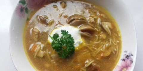 Juha od rezanaca sa vrganjima: ukusni recepti za kuvanje