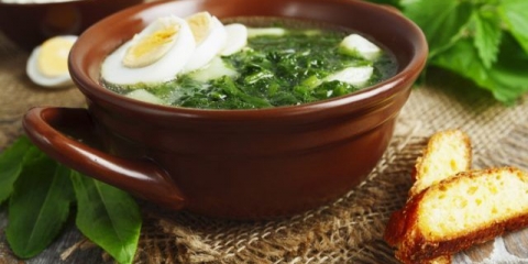 Supa od koprive i jaja: recepti sa fotografijama
